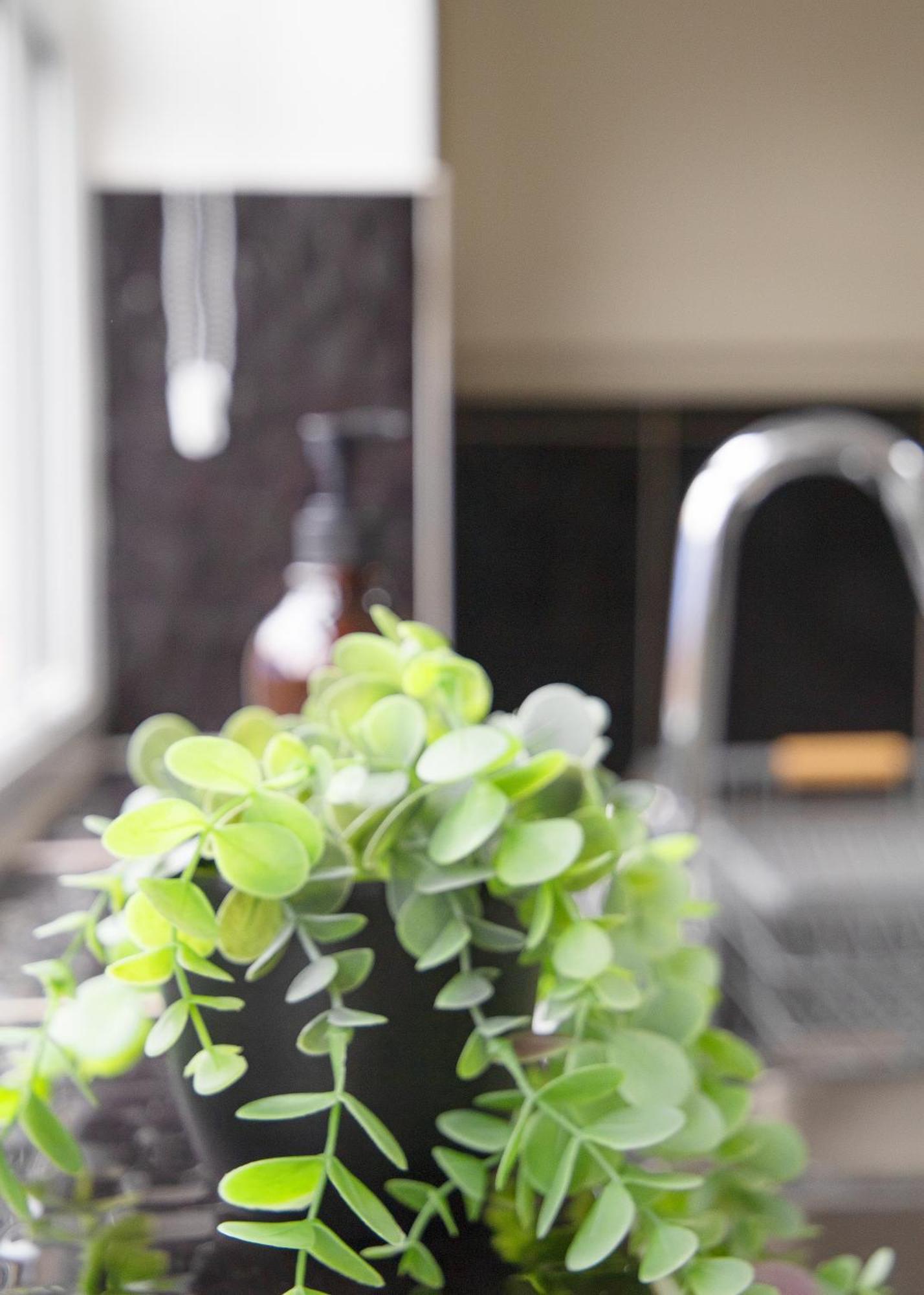 Stylish 3X Bed House In Soham Apartment Ngoại thất bức ảnh